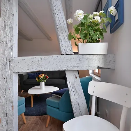 Appartement L'Authentique De La Petite Venise Colmar Exterior foto